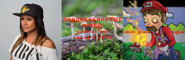 PSILOCYBIN Алексеевка