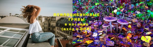 PSILOCYBIN Алексеевка