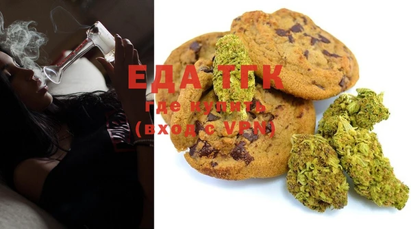 ECSTASY Алзамай